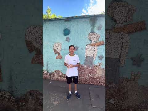 Auditoria Cívica - Estudante de Atitude. Cepi Brasil Ramos Caiado, Araguapaz, Goiás. Cre Goiás