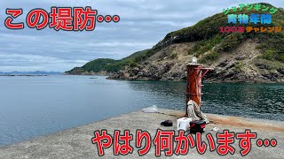 この堤防…やはり何かいます…【ショアジギング青物年間100本チャレンジ#120】