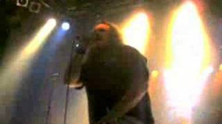 Eisregen - Krebskolonie in Salzburg