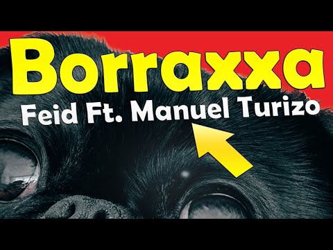 Feid,Manuel Turizo - BORRAXXA  LETRA/ LYRICS   🍻
