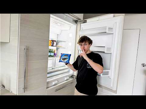 stealing food from steak's fridge..