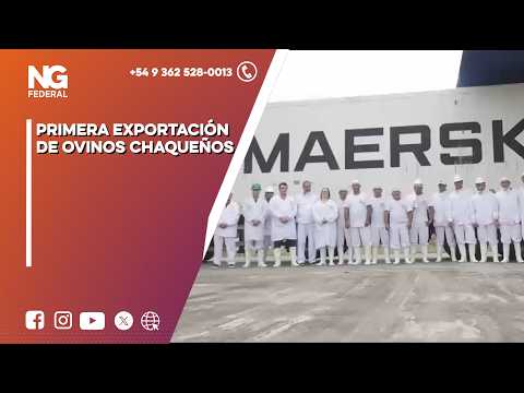 NG FEDERAL -  PRIMERA EXPORTACIÓN DE OVINOS CHAQUEÑOS - CHACO