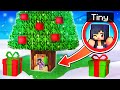 My TINY Home in a Minecraft CHRISTMAS Tree!