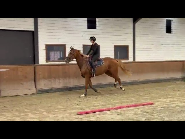 Under the saddle