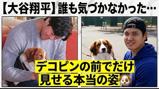 【大谷翔平】デコピンが好きすぎて犬になる大谷!? デコピンの前でだけ見せる姿とは🐶