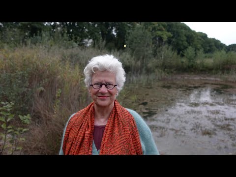 You Are A Player In The Biggest Reset Ever So Shine