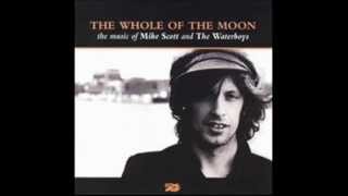 08 THE WATERBOYS   RARE, PRECIOUS AND GONELIVE RADIO SESSION