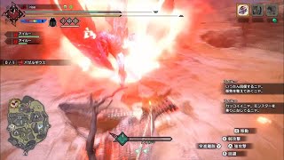 今日のバゼルギウス