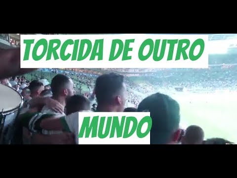 TORCIDA QUE MUDA RESULTADO - PALMEIRAS 2 X 0 Botafogo