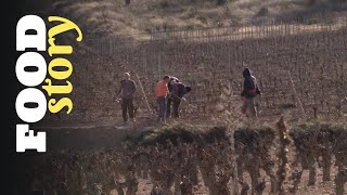 Thumbnail del capítulo