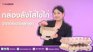 Ep.08 กล่องบรรจุภัณฑ์ใส่ไข่ by Kasbox
