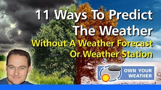 11 Ways To Predict The Weather – Without A Weather Forecast Or Weather