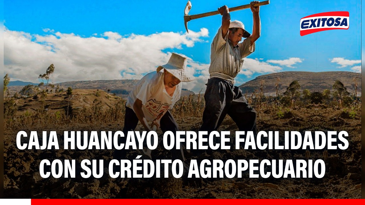 🔴🔵 Caja Huancayo ofrece facilidades con su CRÉDITO AGROPECUARIO: "Son mínimos los requisitos"