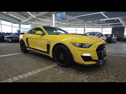 Ford Mustang GT 5.0 V8 Fastback Autom. SHELBY Optik