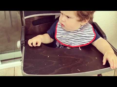 Die Fliege mag einfach nicht gefressen werden 😂