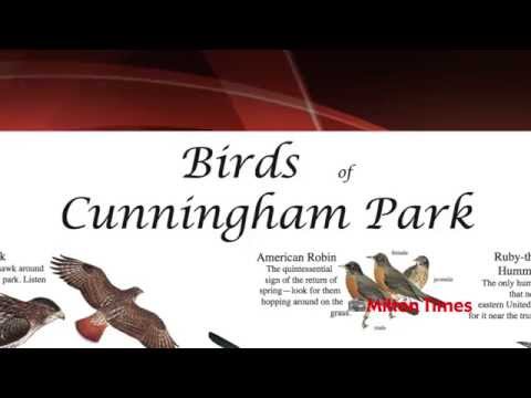 Milton Minute, July 29-Aug. 5, Milton, MA, News Headlines