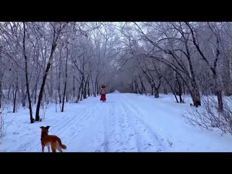 31.1.2021 Asia joka tekee minut onnelliseksi :)