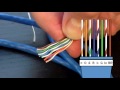 How to Make an Ethernet Cable! - FD500R - $24 Crimp Tool Demonstration