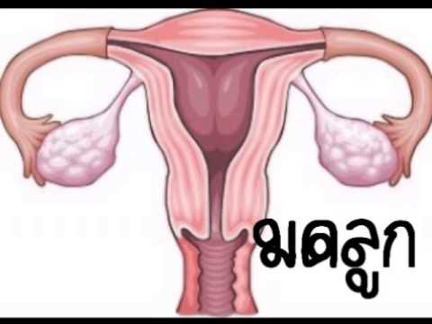 มากกว่าที่คุณสามารถบรรเทาอาการคันในโรคสะเก็ดเงิน การรักษาพื้นบ้านสำหรับเล็บโรคสะเก็ดเงิน