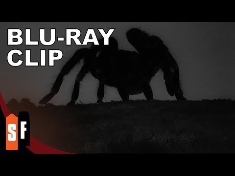 Tarantula (1955) - Clip: Tarantula Cowboy (HD)