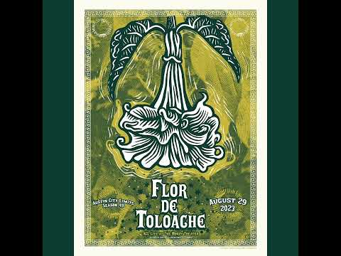 Austin City Limits LIVE 8/29/23 - Flor De Toloache
