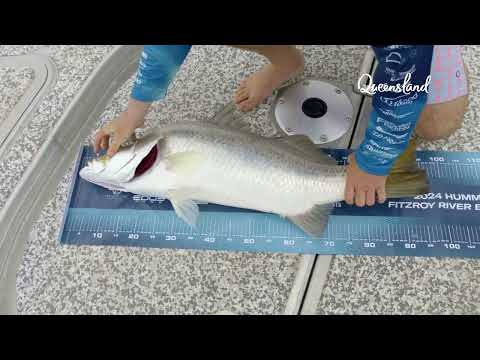 Fitzroy River Barra Bash Tournament