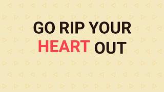 The Academic - Bear Claws (Lyric Video)