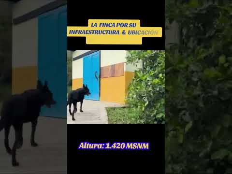 VENDO FINCA ECOTURÍSTICA & PRODUCTIVA Codigo: 144 Garagoa - Boyacá