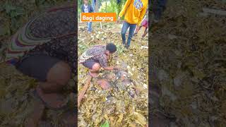 Download lagu Bagi bagi daging setelah bakar batu🥳🥳#bakarbatu #wamena #papua mp3