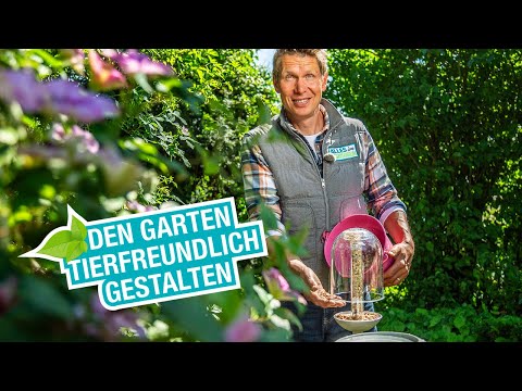 Den Garten tierfreundlich gestalten
