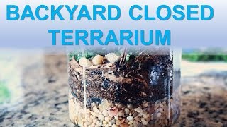 Closed Terrarium | Building A Closed Terrarium With Backyard Plant