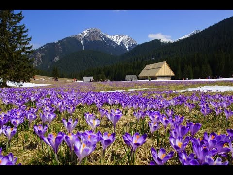 5 najpiękniejszych miejsc w Tatrach