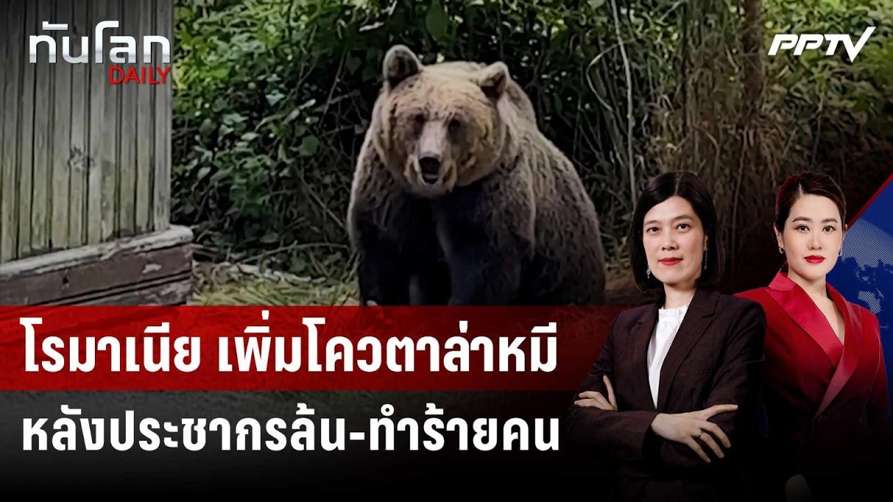 โรมาเนียออกกม.เพิ่มโควตาล่าหมีหลังประชากรล้น-ทำร