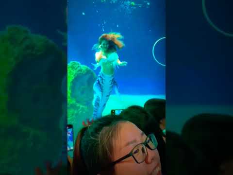 underwater dance mermaid merman - choreography part 6#shorts