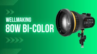 You Won't Believe the POWER of this 80W Bi-color Portable LED Light
