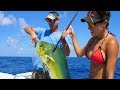 Catching MAHI In ISLAMORADA FLORIDA