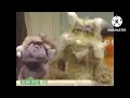 Sesame Street Do The Duck
