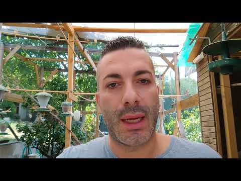 Come proteggere la voliera dal freddo e perché allevare all'esterno