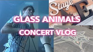 GLASS ANIMALS CONCERT VLOG | Pittsburgh - 7.31.17