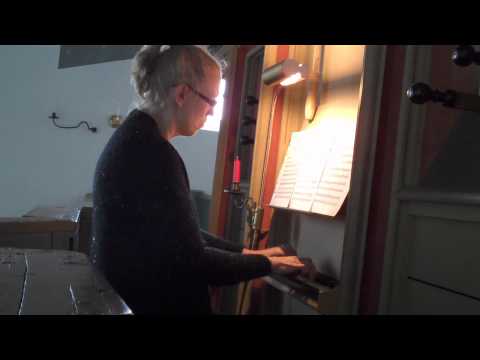 Gwendolyn Toth plays an Anonymous: O lux beata trinitas on the 1457 organ in Rysum, Germany