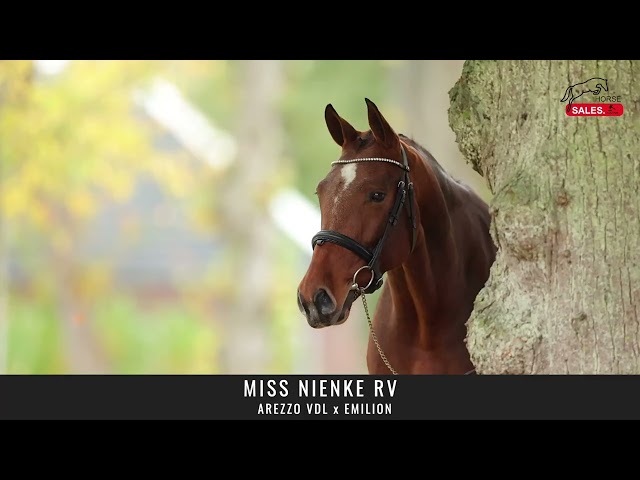 miss nienke rv