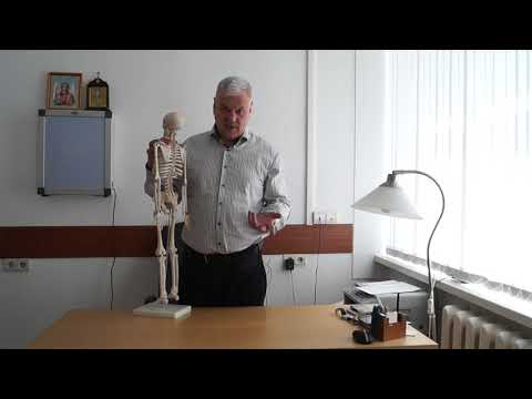 Как устранить причину боли в шее Как лечить постоянные боли в шее