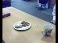 Gavin Eating Cookies For A Bet