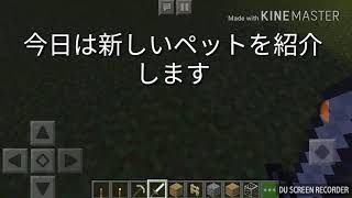 新しいペットを紹介します