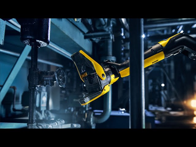 Boston Dynamics выпустила ролик о том, как робопес Spot наслаждается жизнью