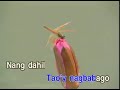 Nang Dahil Sa Pag Ibig Anthony Castelo Star Records