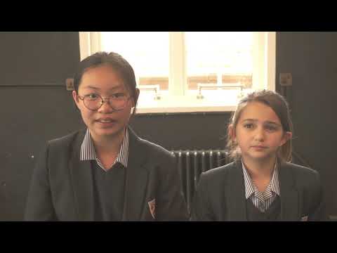 What makes The Holt Special