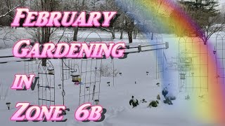 February Gardening in Zone 6b! It's COLD!  Seed Starting & Lettuce, Peppers, Herbs, Blueberries