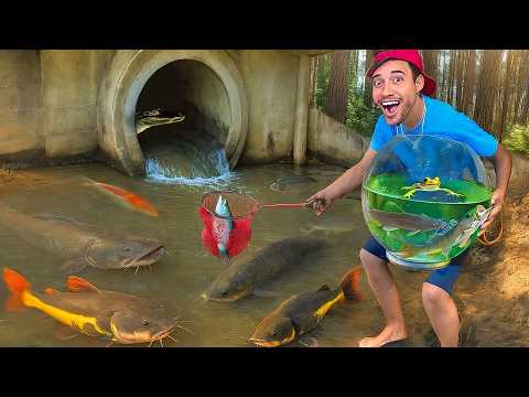 I FOUND a SEWER with EXOTIC and RARE MONSTER FISH
