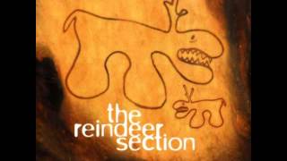 The Reindeer Section - Your Sweet Voice
